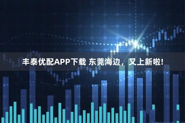 丰泰优配APP下载 东莞海边，又上新啦!