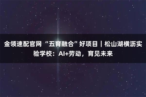 金领速配官网 “五育融合”好项目｜松山湖横沥实验学校：AI+劳动，育见未来