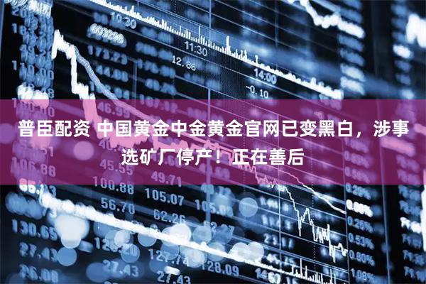 普臣配资 中国黄金中金黄金官网已变黑白，涉事选矿厂停产！正在善后